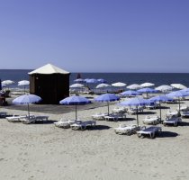 Horse Country Resort Congress & SPA Arborea